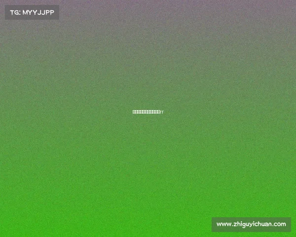 房车赛车赛事、房车大赛rr